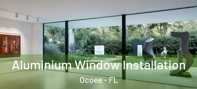  Aluminium Window Installation Ocoee - FL