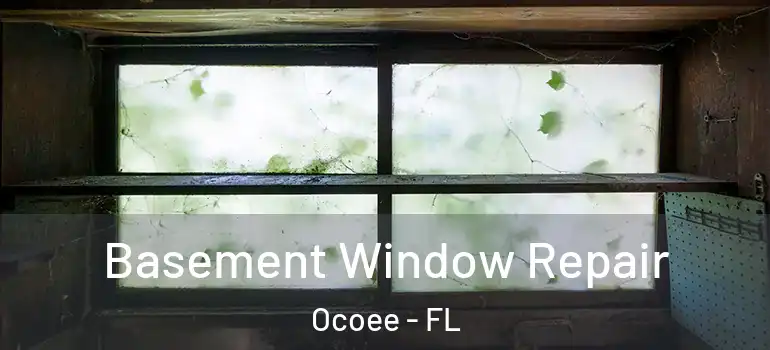  Basement Window Repair Ocoee - FL