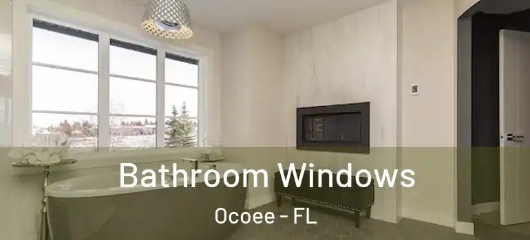  Bathroom Windows Ocoee - FL