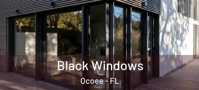  Black Windows Ocoee - FL