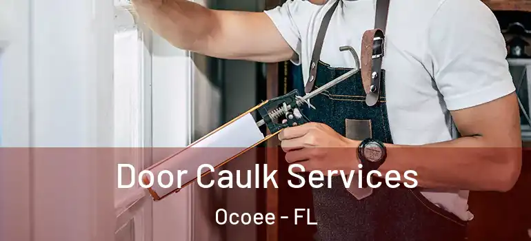  Door Caulk Services Ocoee - FL