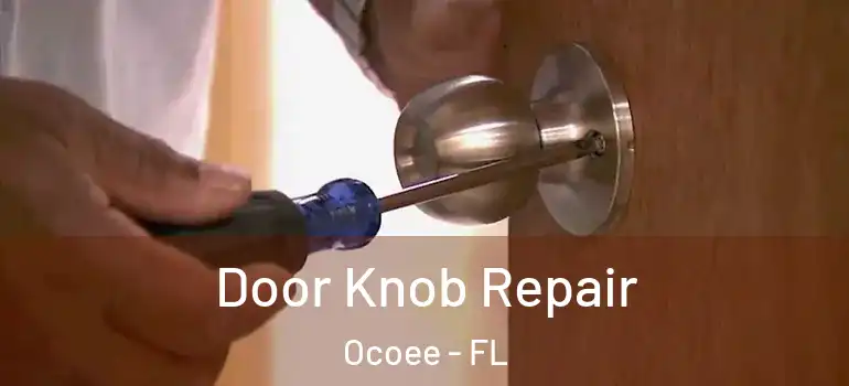  Door Knob Repair Ocoee - FL