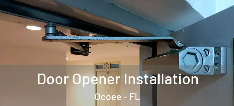  Door Opener Installation Ocoee - FL