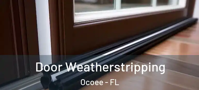  Door Weatherstripping Ocoee - FL