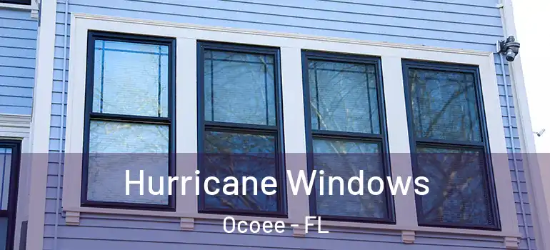  Hurricane Windows Ocoee - FL