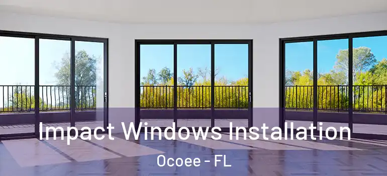  Impact Windows Installation Ocoee - FL