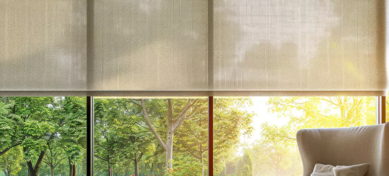 Custom Window Shades in Ocoee, FL