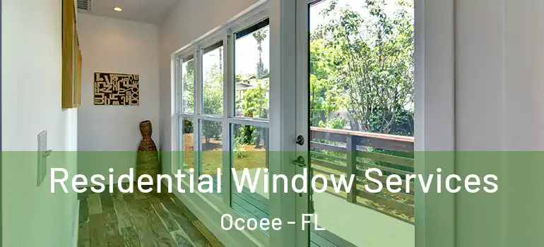  Residential Window Services Ocoee - FL