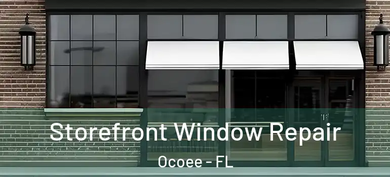 Storefront Window Repair Ocoee - FL