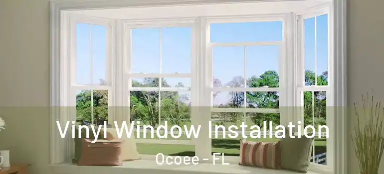  Vinyl Window Installation Ocoee - FL