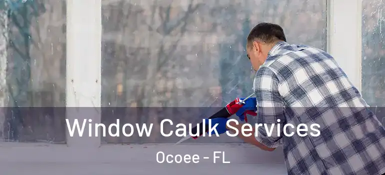 Window Caulk Services Ocoee - FL