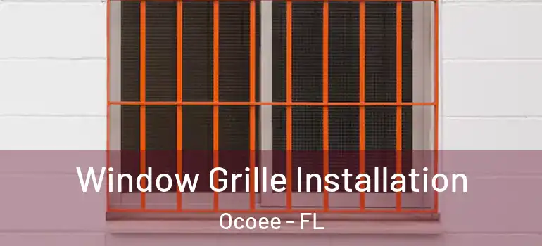  Window Grille Installation Ocoee - FL