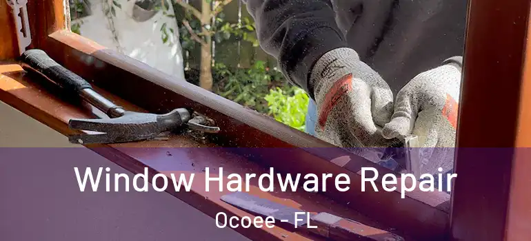  Window Hardware Repair Ocoee - FL