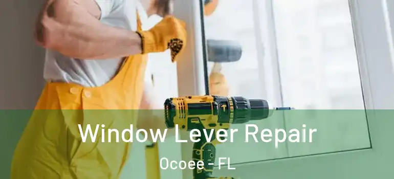  Window Lever Repair Ocoee - FL