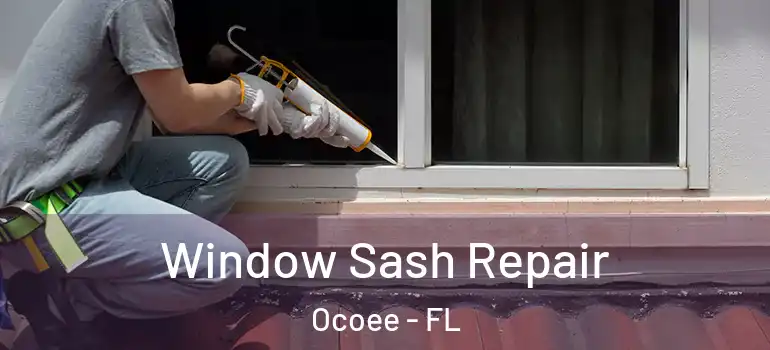  Window Sash Repair Ocoee - FL
