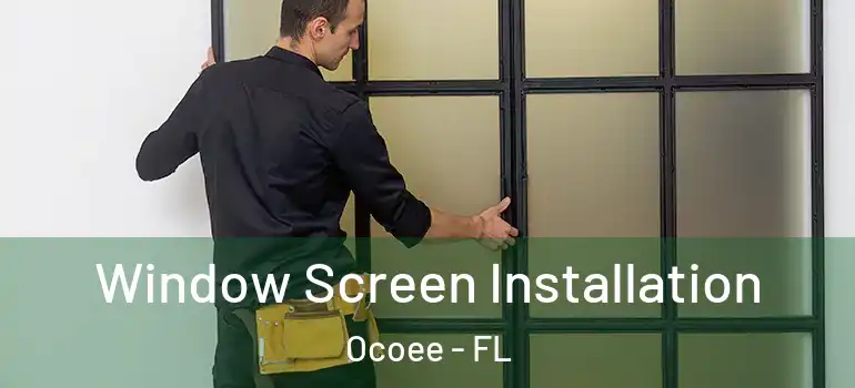  Window Screen Installation Ocoee - FL