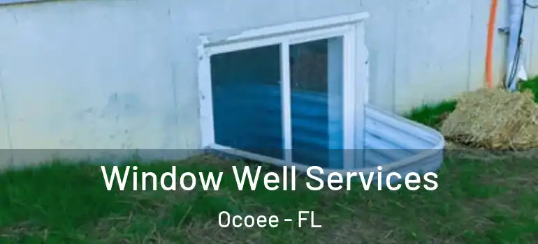  Window Well Services Ocoee - FL